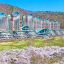 소노펠리체 비발디파크 이미지