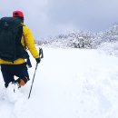 선자령의 雪景 이미지