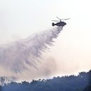 광산초등학교 이미지