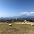 대관령어흘리관광지 이미지