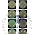 대구한의대학교 한방산업대학원 이미지