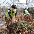 이준호농장 이미지