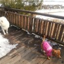 가람동물병원 이미지