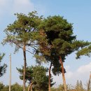 늘푸르름농장 이미지