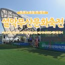 2026 설악무산문화축전 2편 | 먹거리·체험부스·현장 분위기·개막식 공연 후기(소수빈, 카더가든)