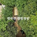 김숙농장 | 범바위 캠핑정원 캠핑장 밤 줍기 체험