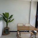 장충상회 이미지