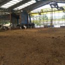 양백목장 이미지