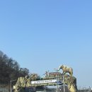 비비큐(BBQ)연천동막골유황천점 | 연천 찜질방 동막골유황천 세신비 / 서울 근교 주말...코스 내돈내산 / 사우나, 찜질방에 BBQ 치킨이!?