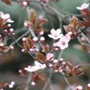 마루바람 이미지