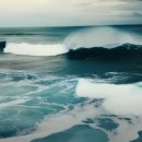 꼬리치는 강아지 이미지