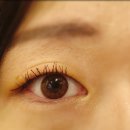 은하수안경 위드렌즈 울산동구점 이미지