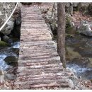 휴양림약수 이미지