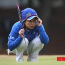 (주)중앙그린 이미지