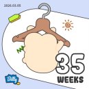 w-35 | [임신기록] 포항 여성아이병원 막달검사 후기(35w0d)-비용,소요시간