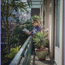 고려건정형외과의원 이미지