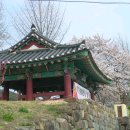 보령중학교 이미지