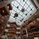 스타필드 수원 | 수원 “별마당도서관 스타필드수원점” 내돈내산 후기!?