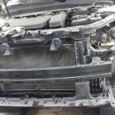 프로카센타 이미지