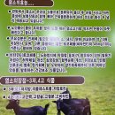괴산염소탕 이미지