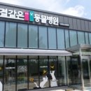 한결같은 동물병원 이미지