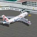[JAL] 김포공항>>>>>>>>도쿄하네다공항 Boeing 747-300 이미지