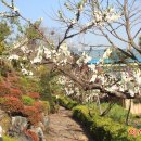 복숭아쉼터 이미지