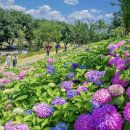 다온지역아동센터 이미지