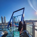 태화동물병원 | 울산의 새로운 하늘길, 태화루 스카이워크 용금소 완전 정복!