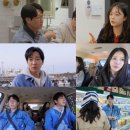 플레이 bnt뉴스