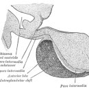 리드메디칼(주) 이미지