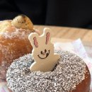 해피하이킹 | 시드니 일상 : 해피이스터! 힐링 그 자체였다