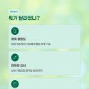 인사동 놀이터