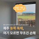 하도세미