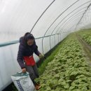 청남농장 이미지