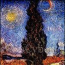 사이프러스 이미지