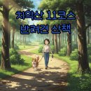 치악산둘레길 11코스 한가터길 | 반려견 동반 강원도 치악산 둘레길 11코스: 한가터길 잣나무숲