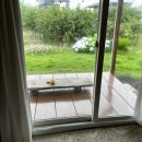 소롱코지 이미지