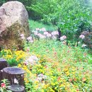 성골펜션 이미지