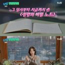 에이플러스진(A+진) 이미지