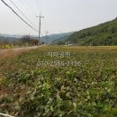 공주IC(정안) 이미지