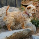 석수가든 이미지