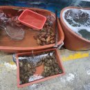 울진건어물 이미지