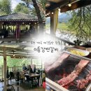 포천 계곡 이동갈비 맛집 “이동강변갈비” : 애견동반 식당🐶