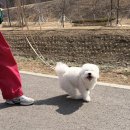 우리민들레약국 | 10.상상에 상상에 상상을 더해서