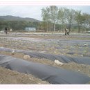 봉양농장2 이미지