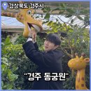 상록자이언트 | 경북 실내 가볼만한곳 경주 동궁원 식물원 예매 할인 주차 등 상세 후기