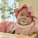 더수풀(the supul) 티스토리