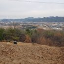 상완목장 티스토리