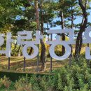 화랑공원 이미지